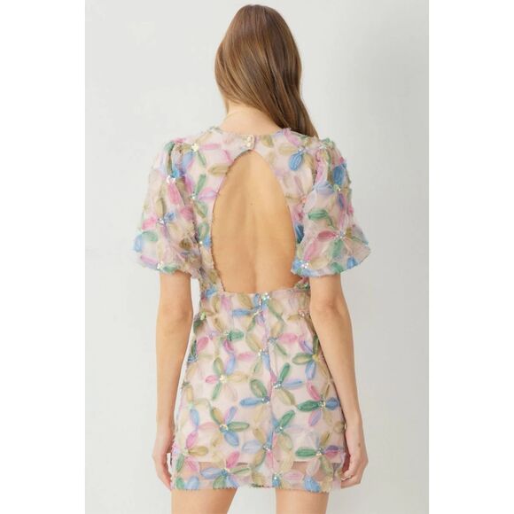 Entro Favorite Fleur Mesh Mini Dress Cutout Back Size S - Picture 2 of 13